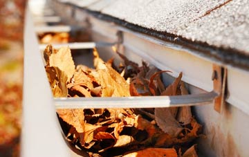 Low Green gutter cleaning companies