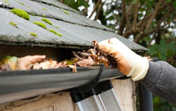 gutter cleaning Low Green