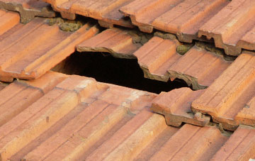 roof repair Low Green