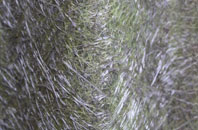 Low Green fibreglass roof work